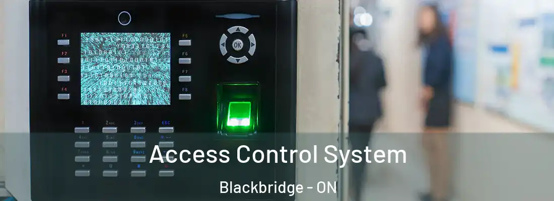  Access Control System Blackbridge - ON
