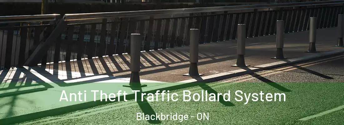  Anti Theft Traffic Bollard System Blackbridge - ON