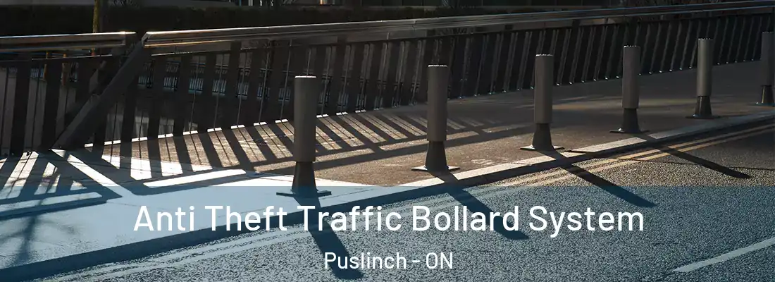  Anti Theft Traffic Bollard System Puslinch - ON