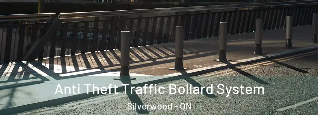  Anti Theft Traffic Bollard System Silverwood - ON