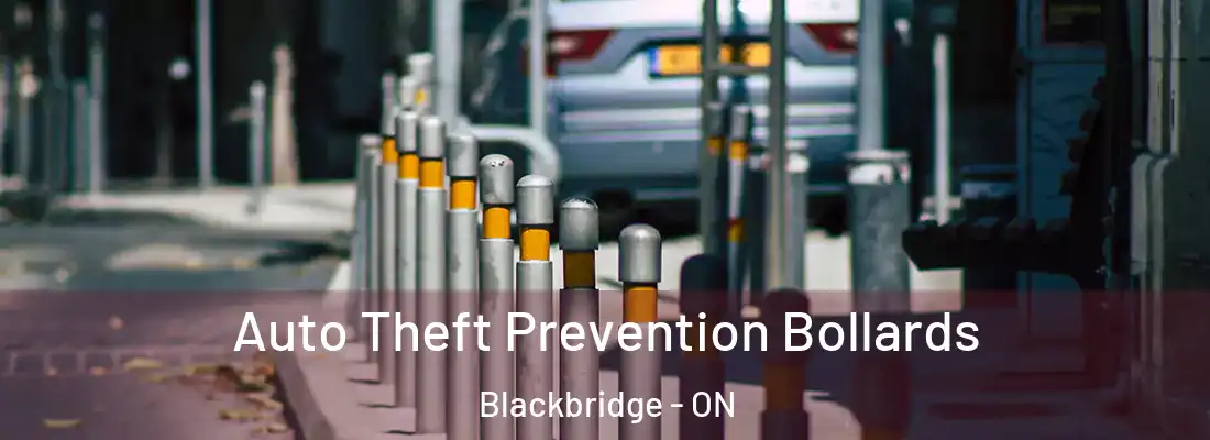  Auto Theft Prevention Bollards Blackbridge - ON