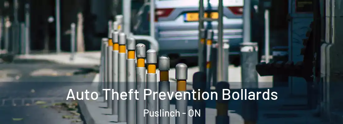  Auto Theft Prevention Bollards Puslinch - ON
