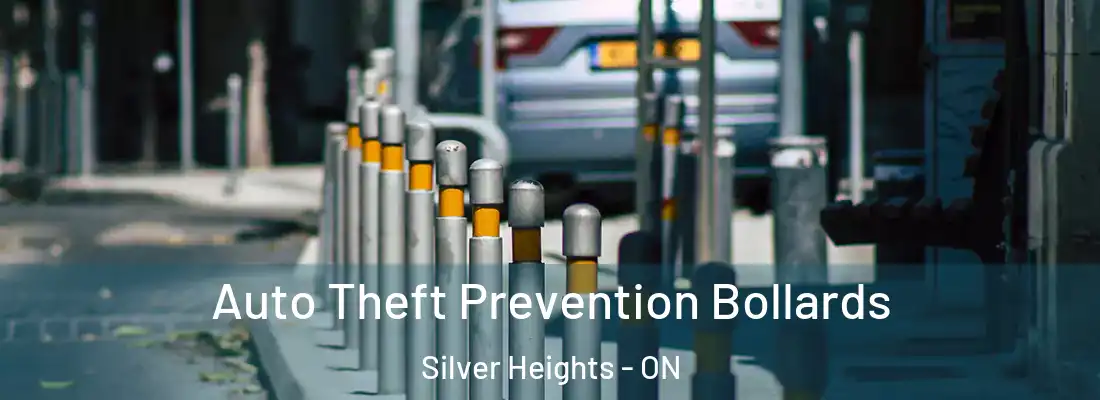  Auto Theft Prevention Bollards Silver Heights - ON