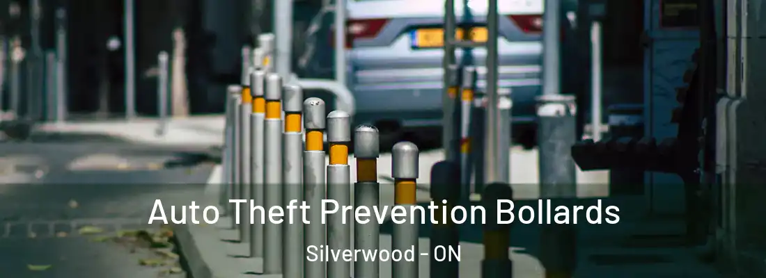  Auto Theft Prevention Bollards Silverwood - ON
