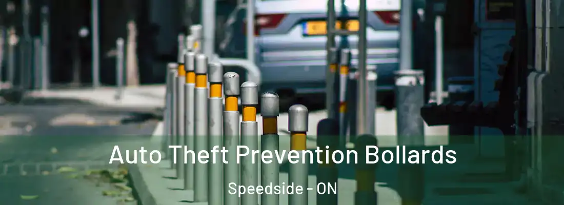  Auto Theft Prevention Bollards Speedside - ON