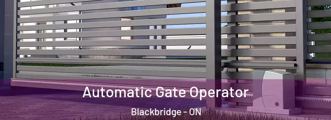  Automatic Gate Operator Blackbridge - ON