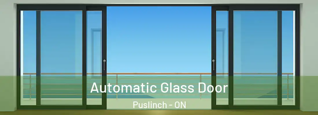  Automatic Glass Door Puslinch - ON