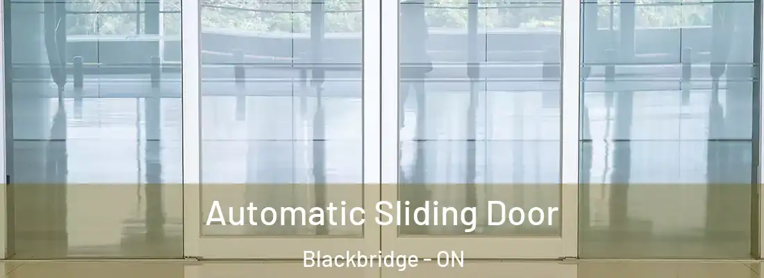  Automatic Sliding Door Blackbridge - ON