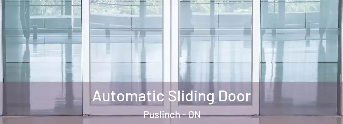  Automatic Sliding Door Puslinch - ON