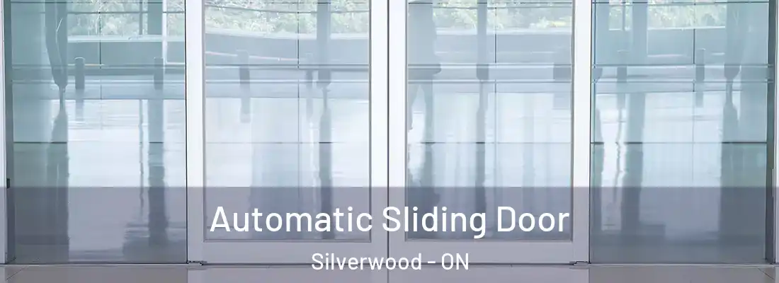  Automatic Sliding Door Silverwood - ON