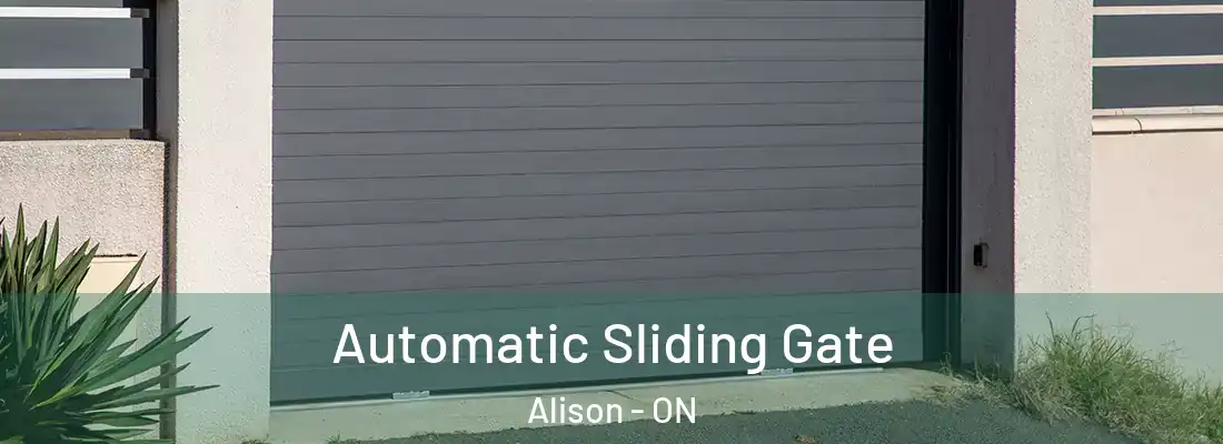  Automatic Sliding Gate Alison - ON