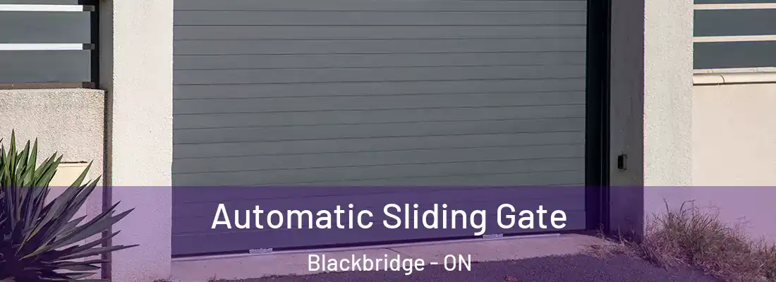  Automatic Sliding Gate Blackbridge - ON