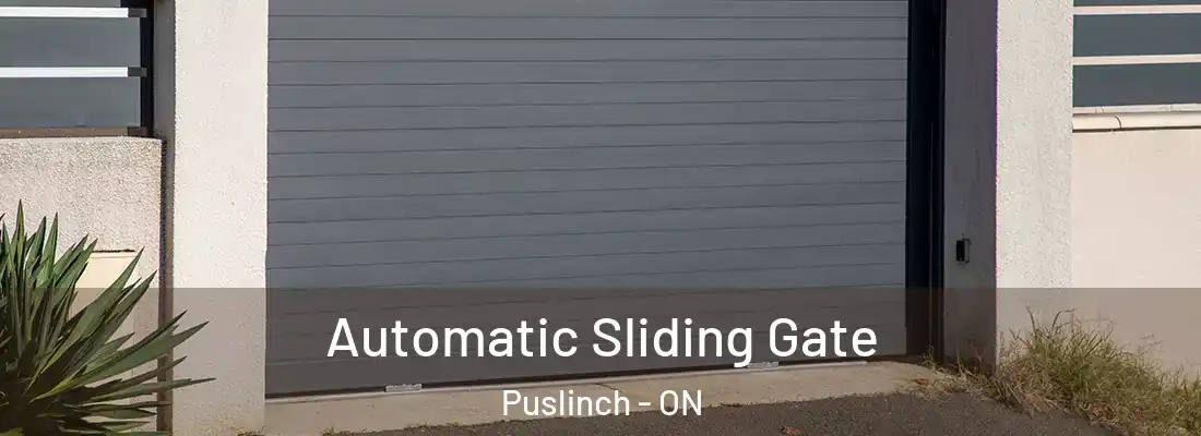  Automatic Sliding Gate Puslinch - ON