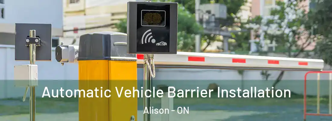  Automatic Vehicle Barrier Installation Alison - ON