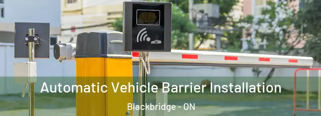  Automatic Vehicle Barrier Installation Blackbridge - ON