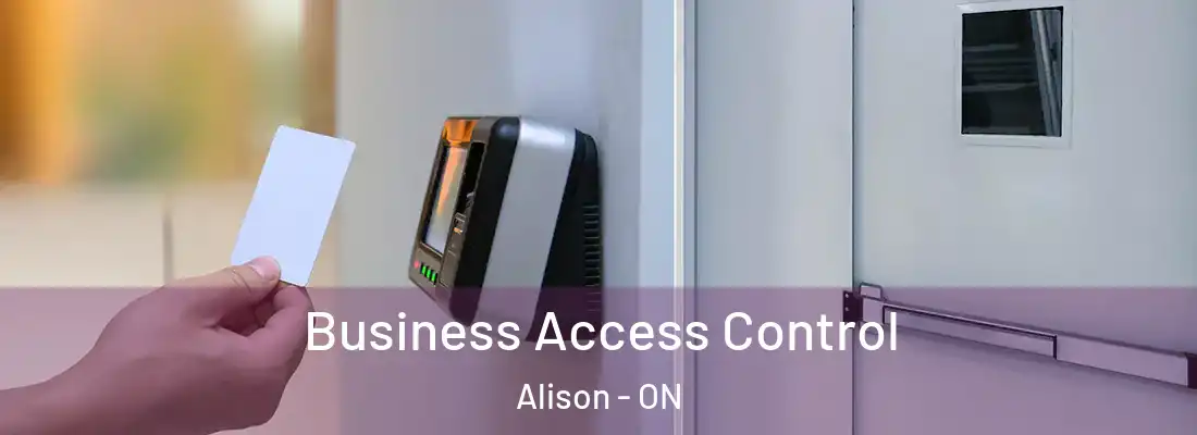  Business Access Control Alison - ON