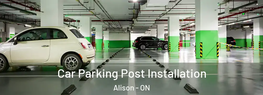  Car Parking Post Installation Alison - ON