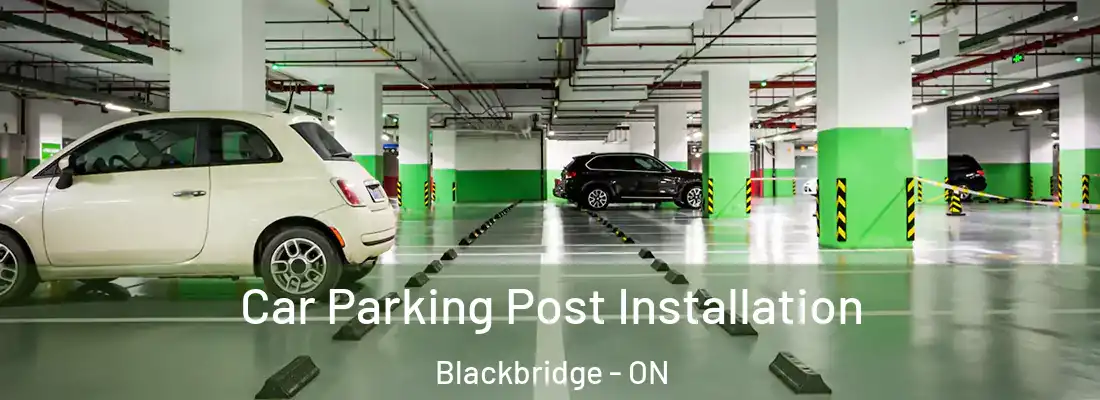  Car Parking Post Installation Blackbridge - ON