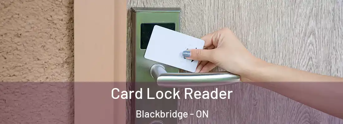  Card Lock Reader Blackbridge - ON