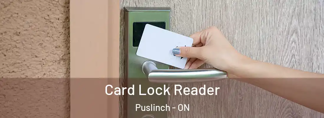  Card Lock Reader Puslinch - ON