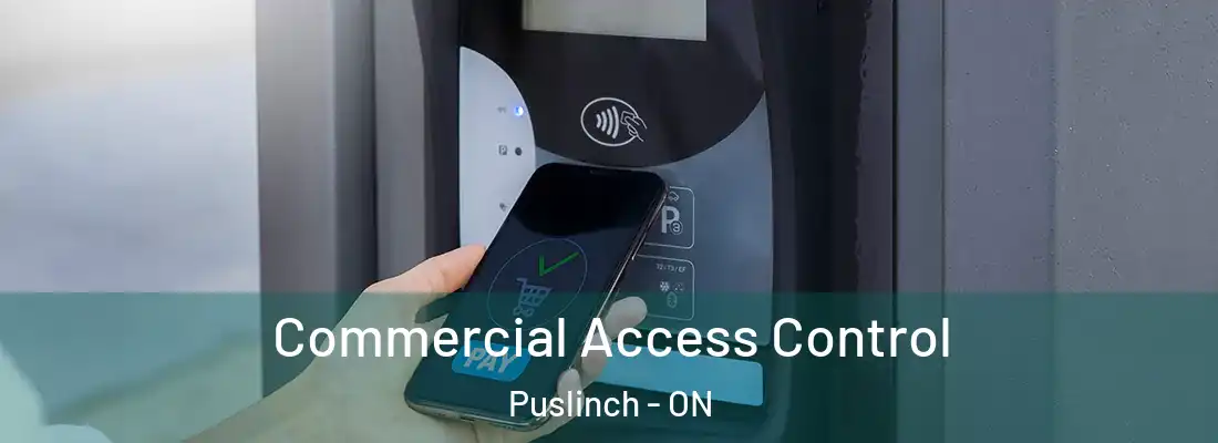  Commercial Access Control Puslinch - ON