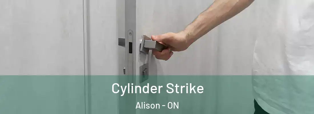  Cylinder Strike Alison - ON