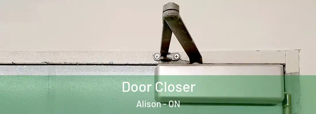  Door Closer Alison - ON
