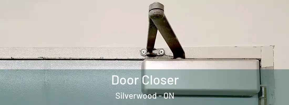  Door Closer Silverwood - ON