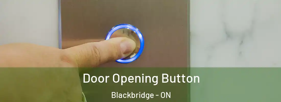  Door Opening Button Blackbridge - ON