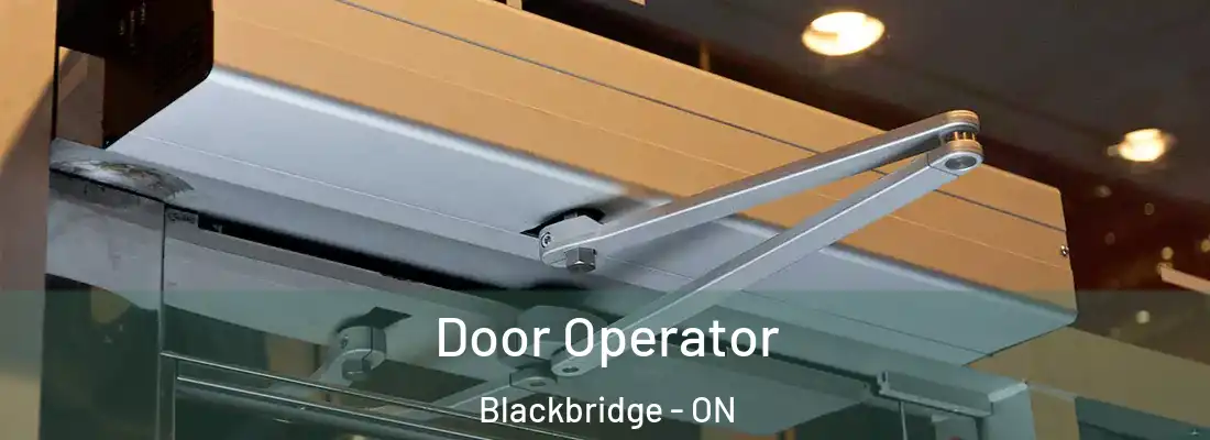  Door Operator Blackbridge - ON