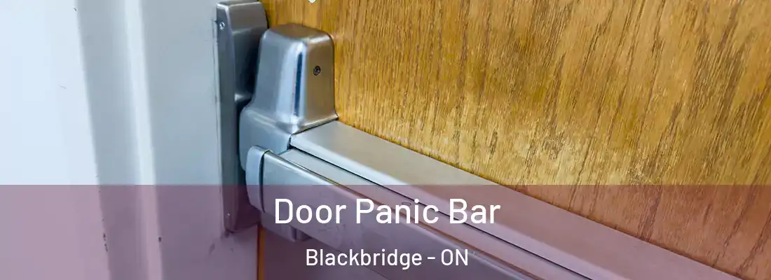  Door Panic Bar Blackbridge - ON