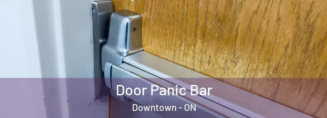  Door Panic Bar Downtown - ON