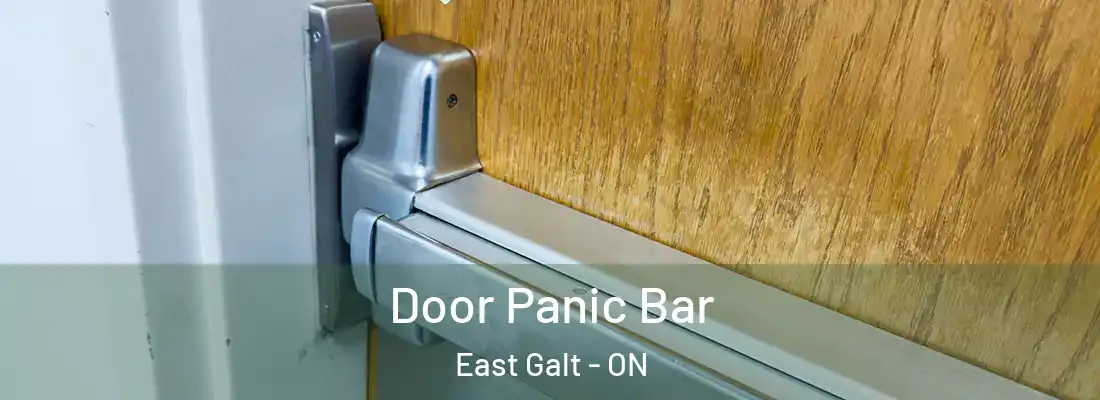  Door Panic Bar East Galt - ON