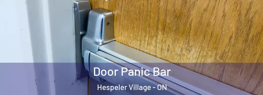  Door Panic Bar Hespeler Village - ON