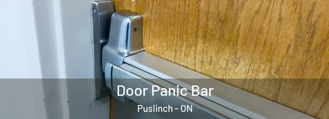  Door Panic Bar Puslinch - ON