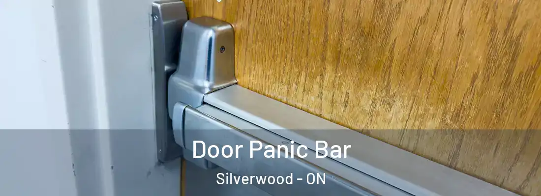 Door Panic Bar Silverwood - ON