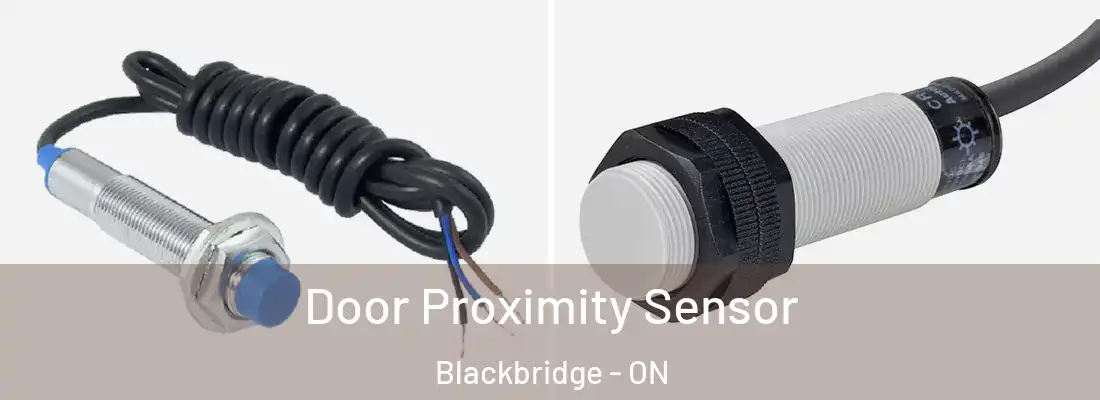  Door Proximity Sensor Blackbridge - ON