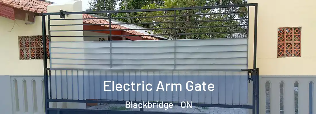  Electric Arm Gate Blackbridge - ON