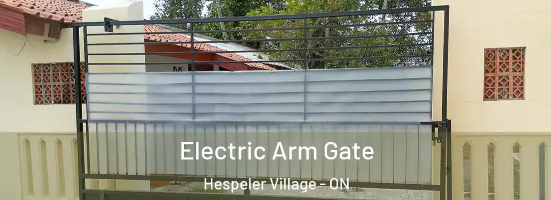  Electric Arm Gate Hespeler Village - ON