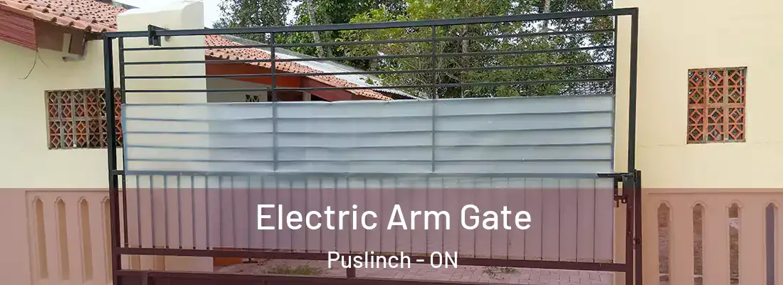  Electric Arm Gate Puslinch - ON