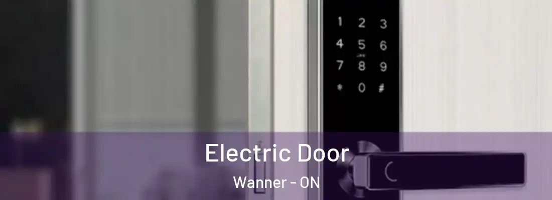 Electric Door Wanner - ON