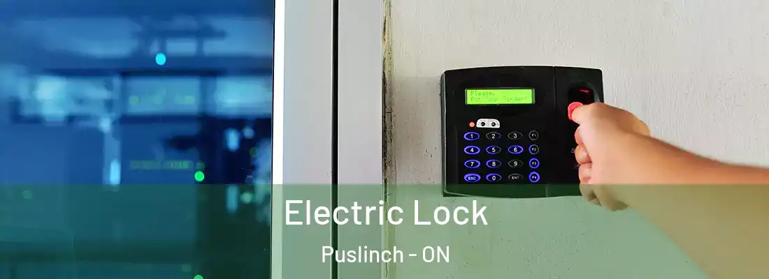  Electric Lock Puslinch - ON