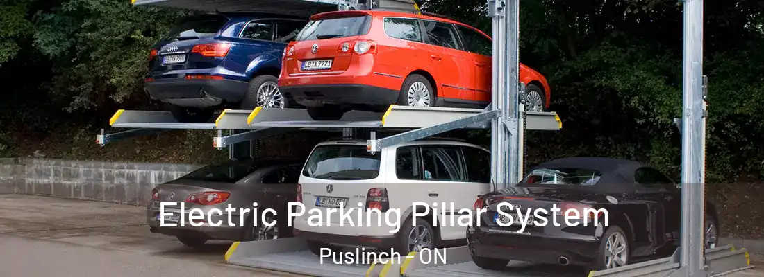  Electric Parking Pillar System Puslinch - ON