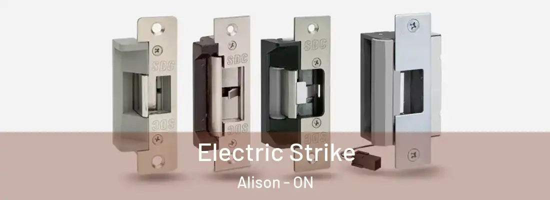  Electric Strike Alison - ON