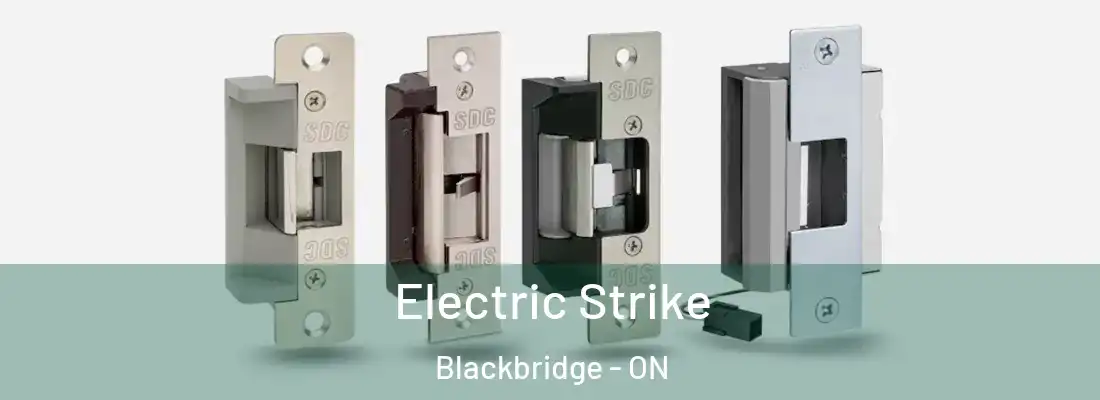  Electric Strike Blackbridge - ON