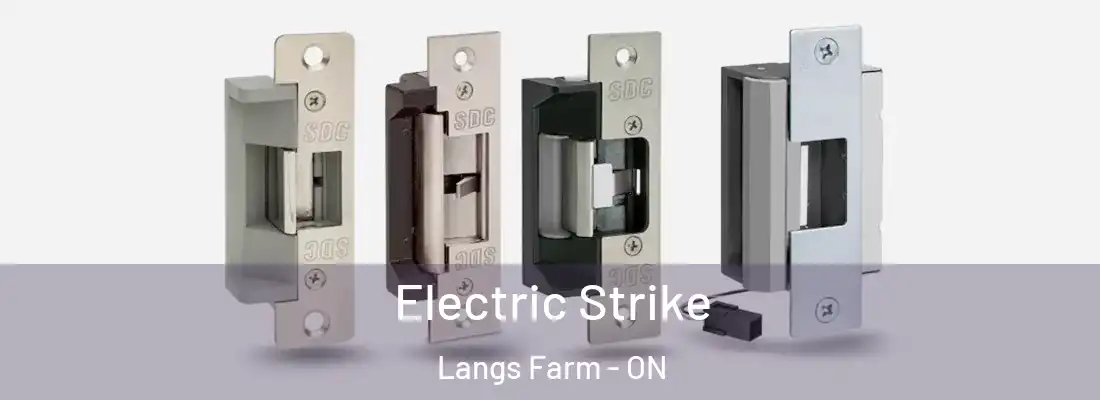  Electric Strike Langs Farm - ON