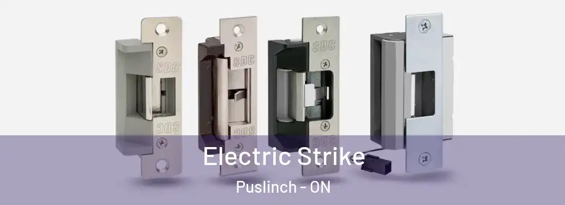  Electric Strike Puslinch - ON