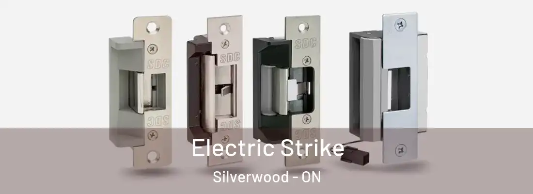  Electric Strike Silverwood - ON