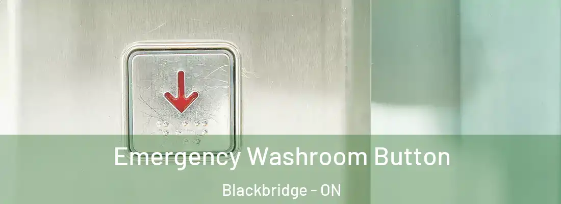  Emergency Washroom Button Blackbridge - ON