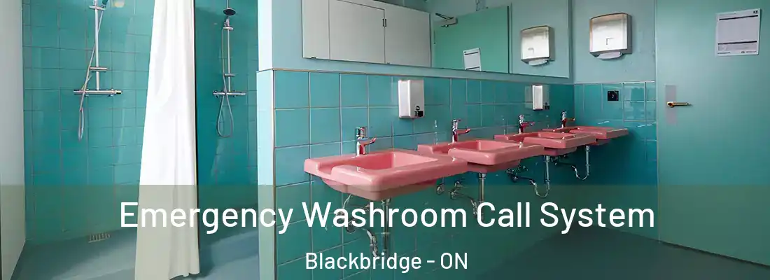  Emergency Washroom Call System Blackbridge - ON